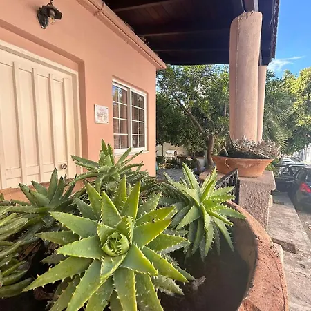 Dom wakacyjny Joyful Secret Garden House Chania (Crete)